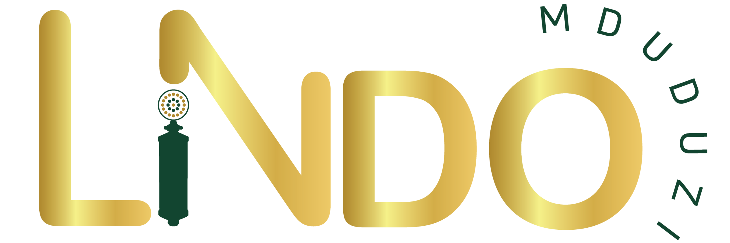 lindo mduduzi logo design gold